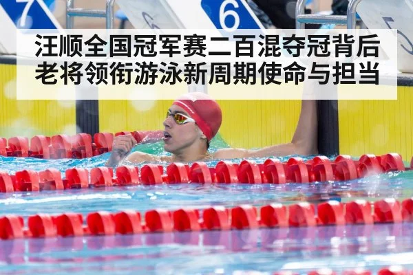 汪顺全国冠军赛二百混夺冠背后 老将领衔游泳新周期使命与担当