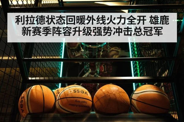利拉德状态回暖外线火力全开 雄鹿新赛季阵容升级强势冲击总冠军
