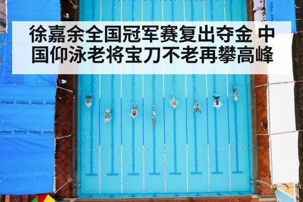 徐嘉余全国冠军赛复出夺金 中国仰泳老将宝刀不老再攀高峰